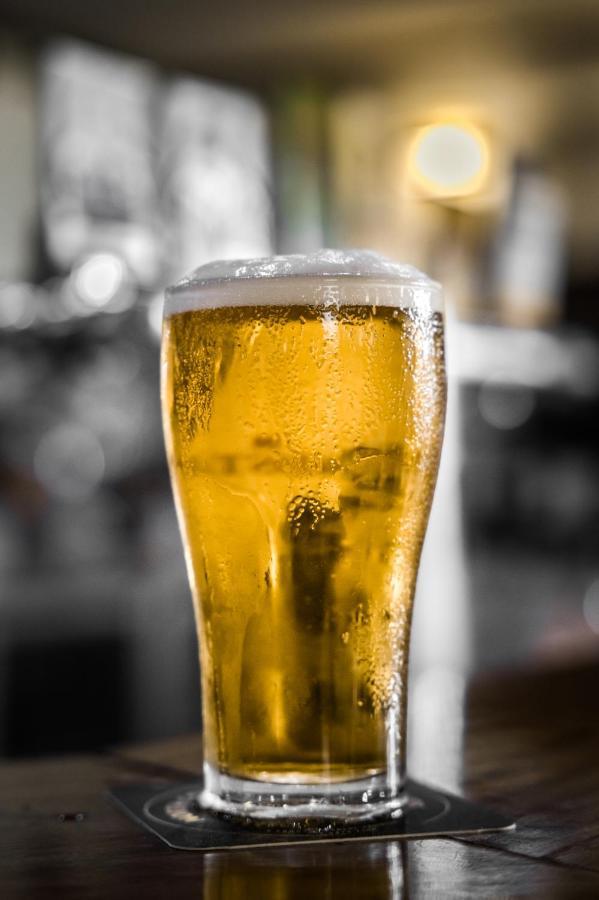 燕地那酒店 Yandina 外观 照片