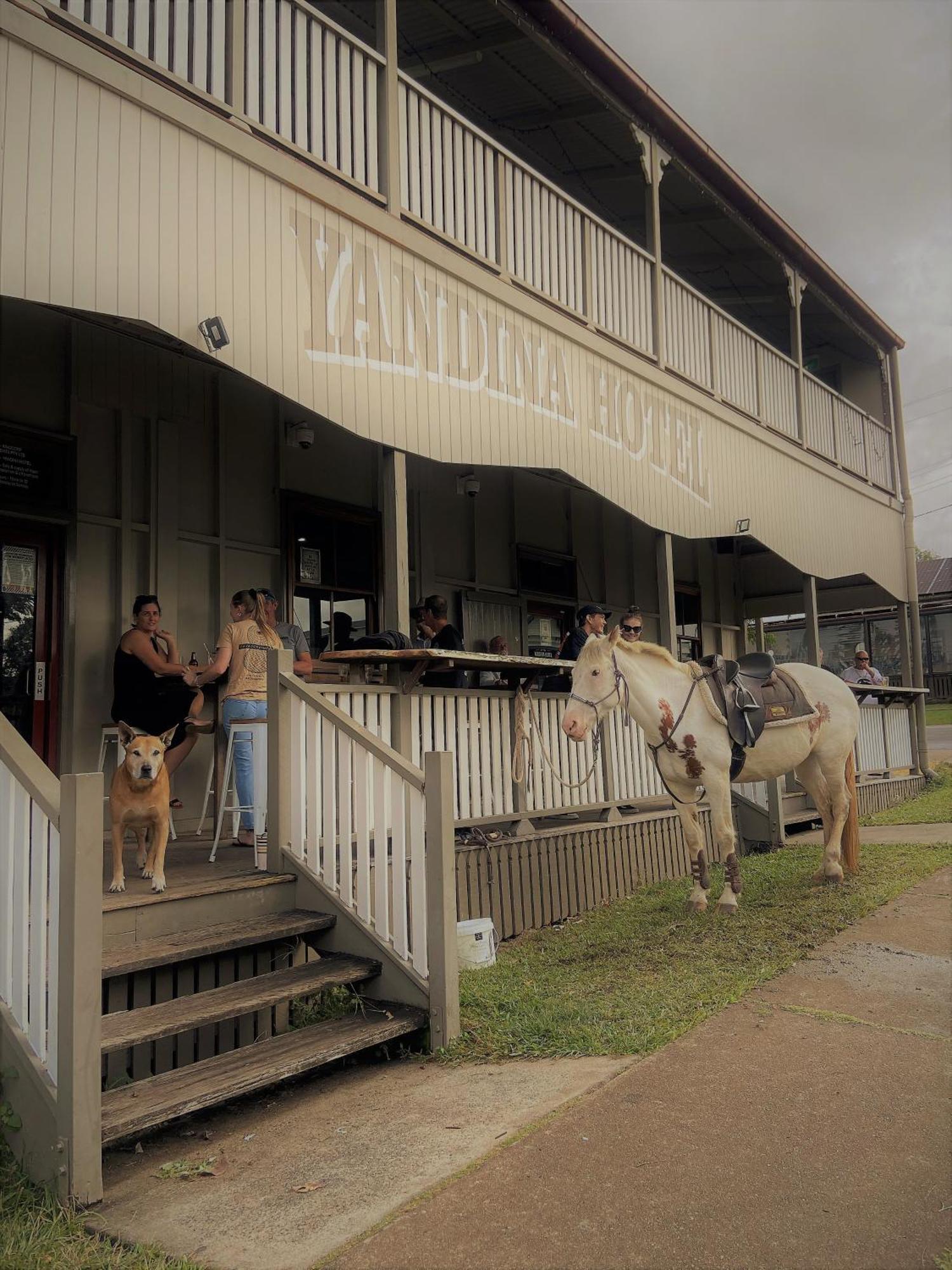 燕地那酒店 Yandina 外观 照片